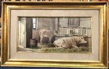 NATURE DI GIUSEPPE GAGLIARDI