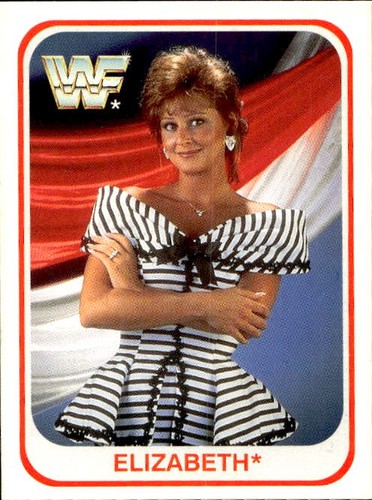 Card wwf wrestling merlin - card,