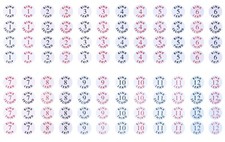 Acclaim Pista di Pattinaggio