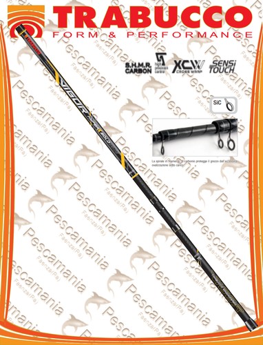 Canna bolognese trabucco - canna, vigor
