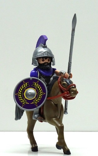 Romano cavalieri elite lilla - cavalieri,