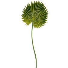  Foglie Palma Finte Di