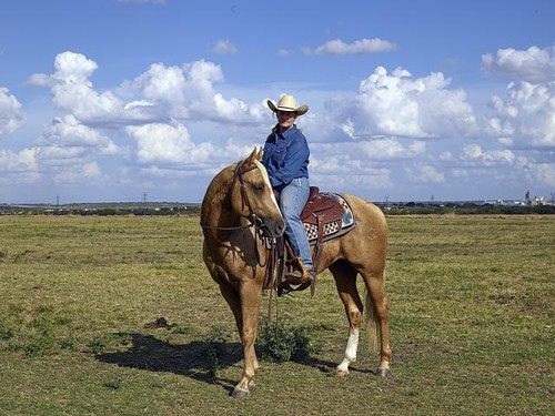 Foto venere texas - texas, michelle