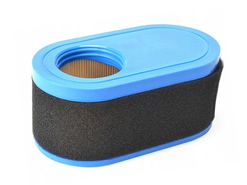 Filtro aria mtd thorx - aria, motore