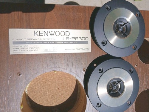 Coppia super tweeter kenwood - super,