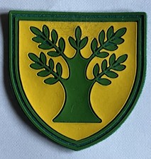 CNGEI Scout Distintivo Di