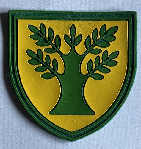 Cngei scout distintivo - distintivo, di