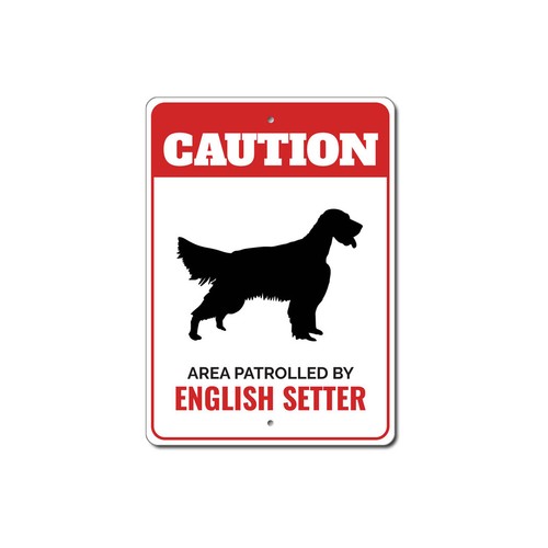 Pattugliato dal setter inglese - dal,