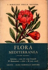FLORA MEDITERRANEA - Aldo Martello Editore - 1974