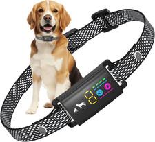 Collare Antiabbaio per Cani
