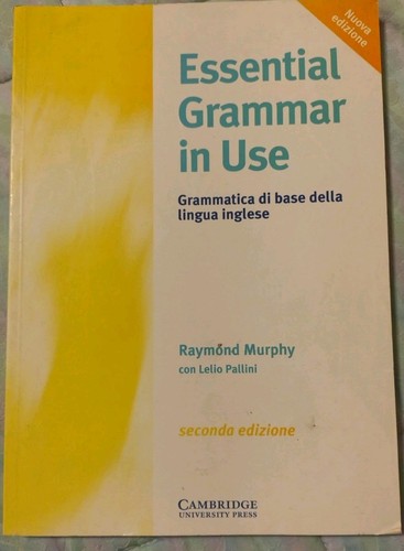 Essential grammar use - grammar, in