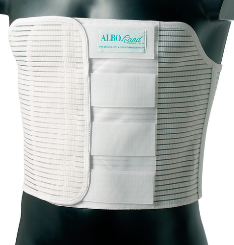 Fascia elastica post - fascia,