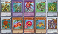 Mazzo Yugioh Naturia - Bestia