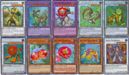 Mazzo yugioh naturia - mazzo,