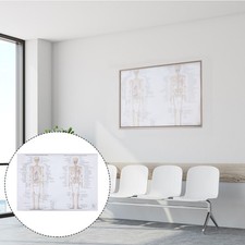  1pc Essere umano Anatomia