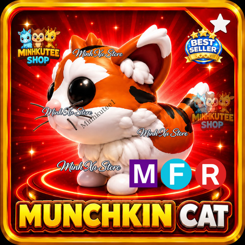 Mfr munchkin cat adopt - 🐱,