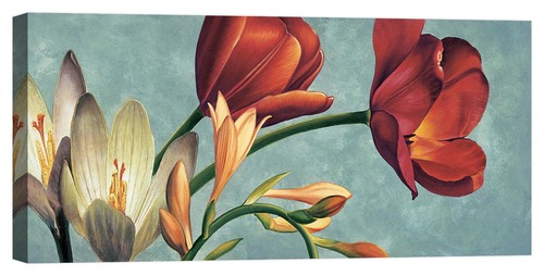 Quadro moderno fiori - , floreale