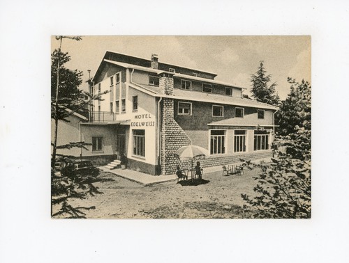 Hotel albergo ristorante - hotel,