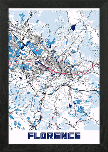 Quadro firenze milktea mappa - firenze,