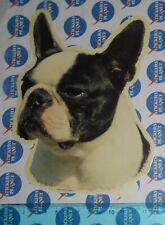 ADESIVO STICKER VINTAGE AUTOCOLLANT AUFKLEBER ORIGINAL FRENCH BULLDOG DOG