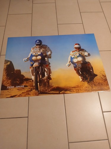 Poster vintage paris dakar - vintage,