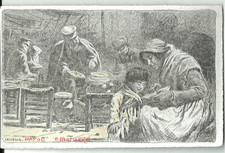 Illustratore B.CASCELLA -