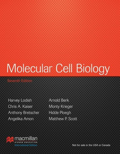 Molecular cell biology by - molecular,
