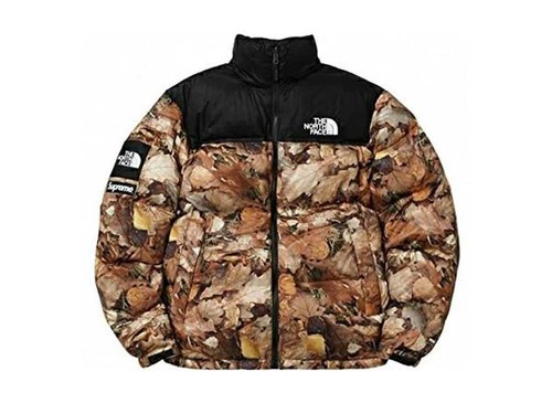 Supreme the north face - face, leaves