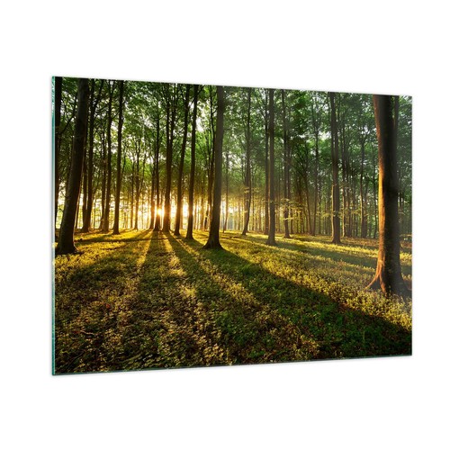 Quadro vetro 100x70cm - su,