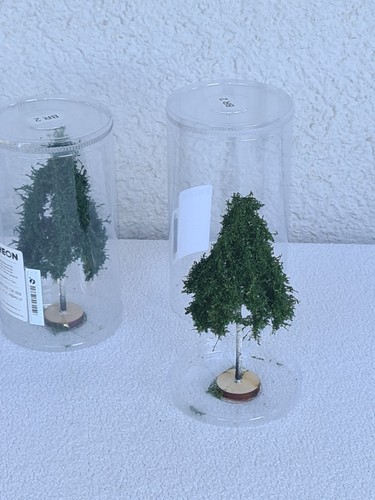 Top betulle freon alberi - top,