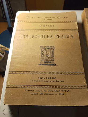 Pollicoltura pratica - pollicoltura,