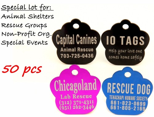 Lotto bulk pet tag - pet,