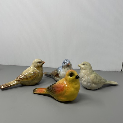 Vintage 1950 s birds - vintage,