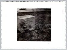 Vintage B&W snapshot uccellini