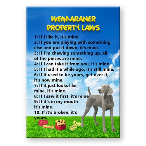 Weimaraner leggi proprietà - di,