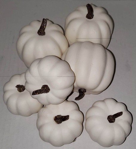 Zucche schiuma bianca hobby - bianca,