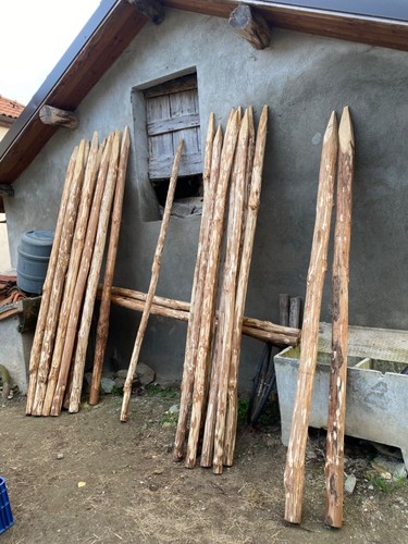Pali legno castagno con - legno,