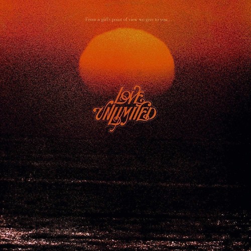 Vinile love unlimited - vinile,