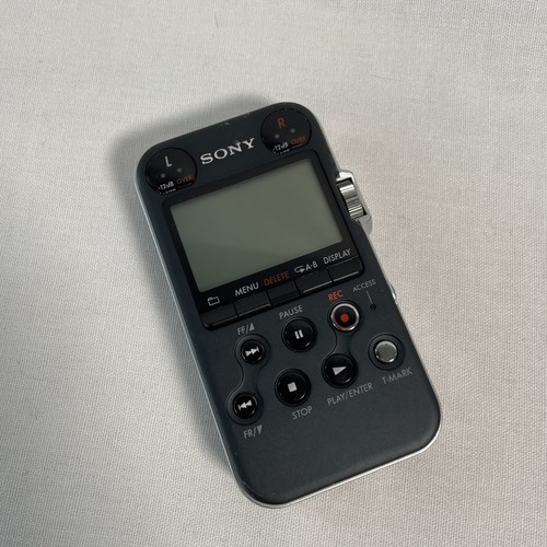 Sony pcm m10 - pcm-m10,