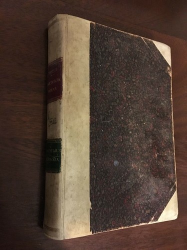 Testut anatomia umana - anatomia, vol.