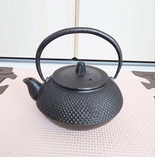 Iwachu Tetsubin Teiera in