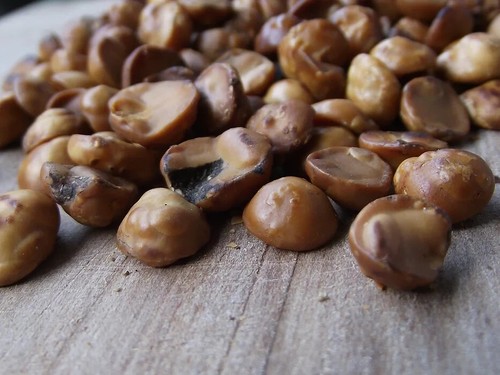 669 gevuina avellana seeds - 669,