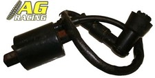 Bobina accensione Pit Bike 110
