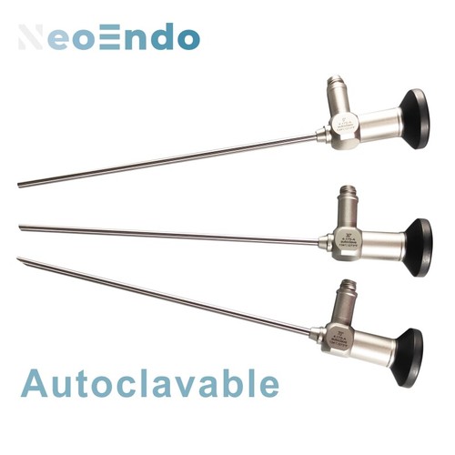 Endoscopio rigido