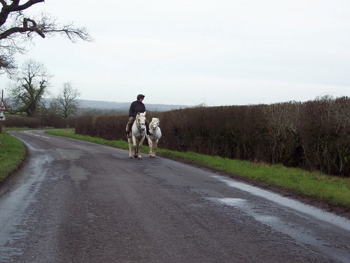 Photo 6x4 ride and lead - 6x4,