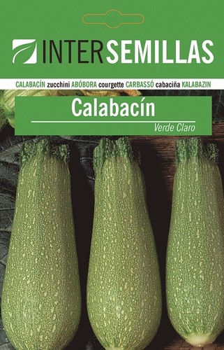 Semi zucchine verde chiaro - verde,