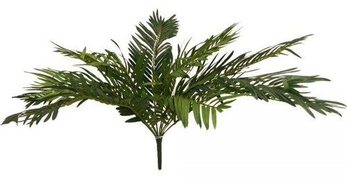 Cycas bush 26in green - bush,