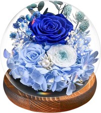 Rosa Stabilizzata LED Blu
