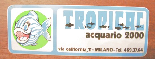 Adesivo tropical acquario - tropical,