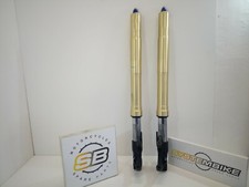 Coppia steli forcella suzuki - forcella,